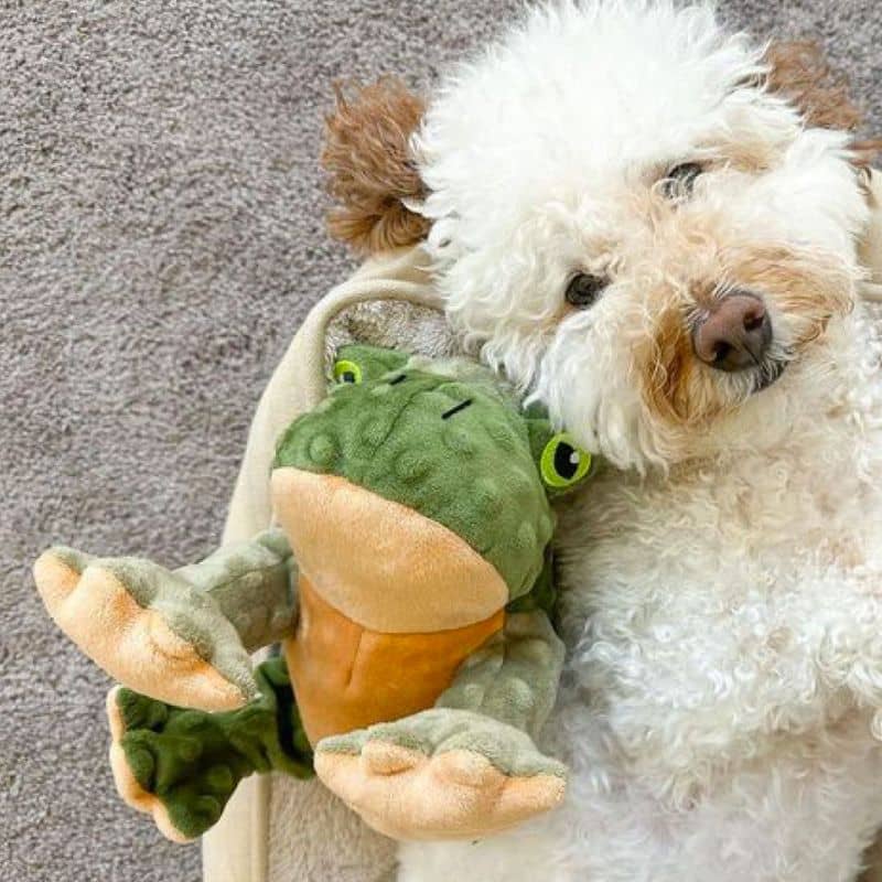 jouet peluche interactive pour chien en forme de grenouille dont les pattes arrière bougent lorsque votre chien appuie sur le squeaker de la marque Tall Tails