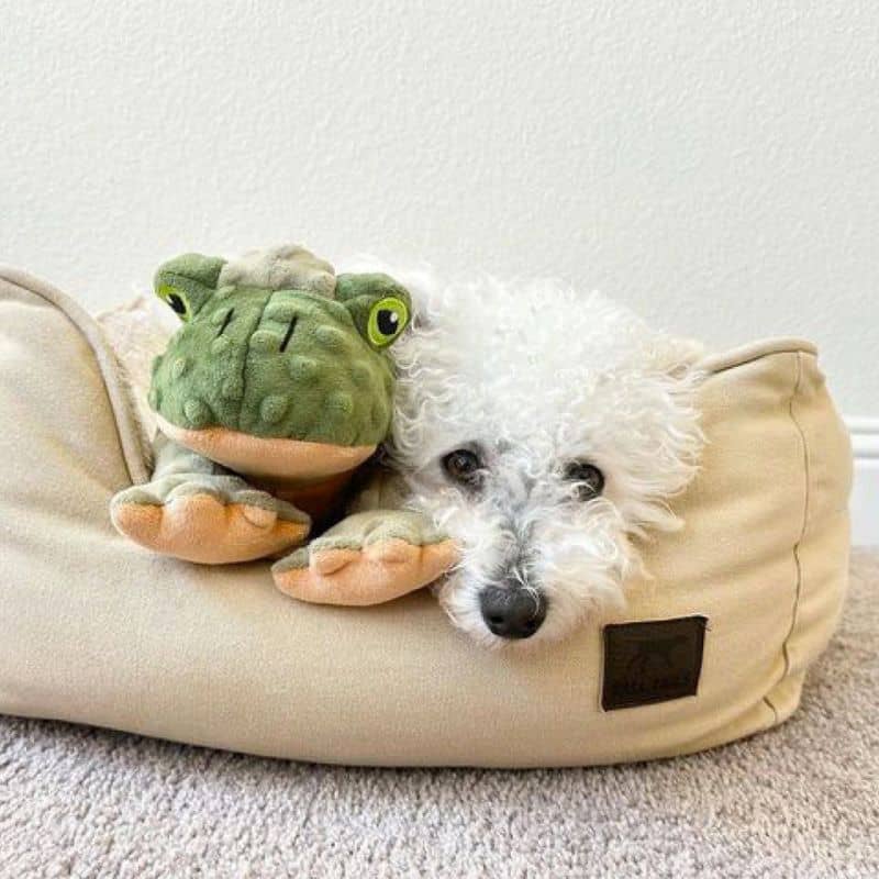 jouet peluche interactive pour chien en forme de grenouille dont les pattes arrière bougent lorsque votre chien appuie sur le squeaker de la marque Tall Tails