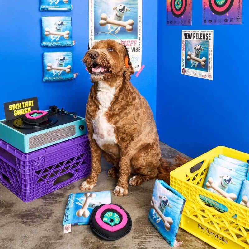 jouet de fouille et d'occupation pour chien en forme de disque vinyl The Furryfolks avec papier froissé et squeaker