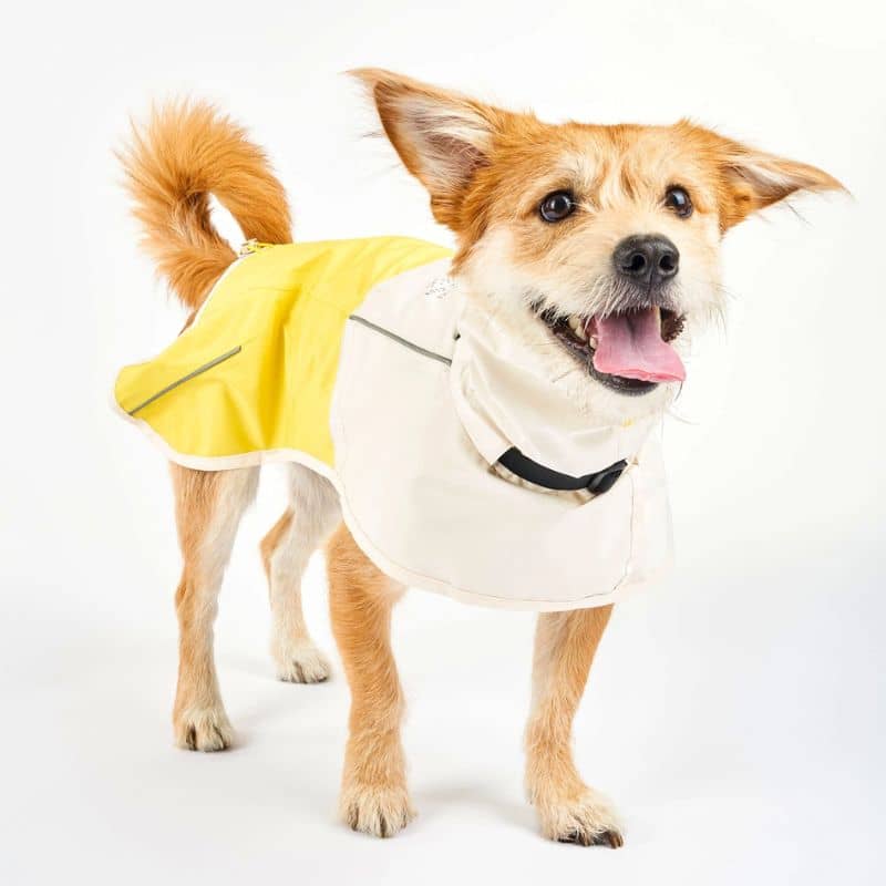 Imperméable Venture pour chien de The Furryfolks avec collier intégré