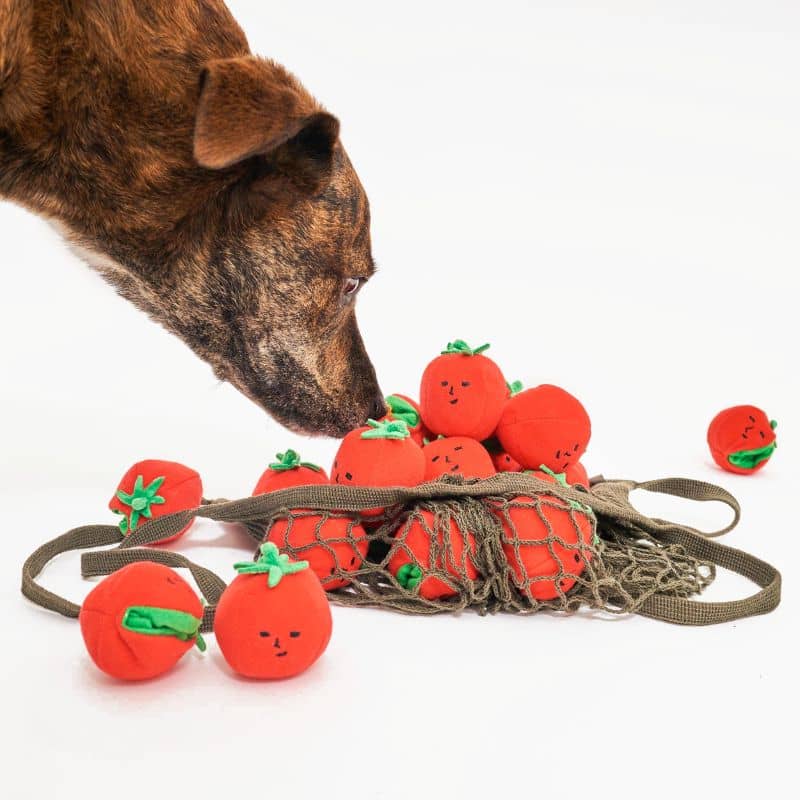 jouet d'occupation pour chien peluche de flair avec cachettes à friandises en forme de grappe de tomates cerise Furryfolks : jouet corde à tirer avec corde avec tomates amovibles