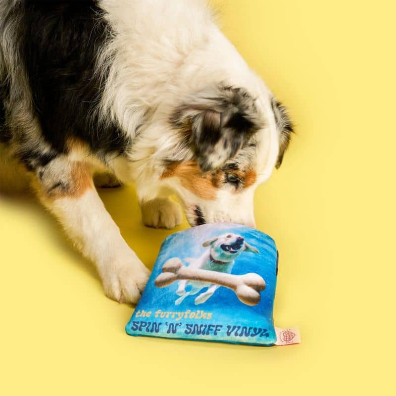 Jouet interactif The Furryfolks pour chien, disque vinyle cache friandises pour jeu stimulant