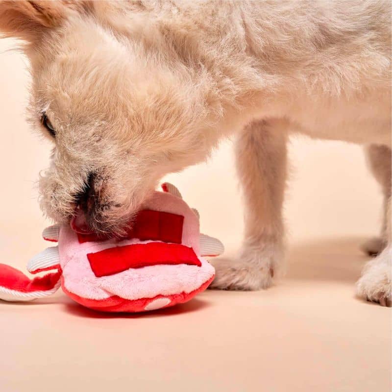 jouet d'occupation pour chien peluche de flair avec cachettes à friandises en forme de crabe Furryfolks : bruit de papier froissé et 2 couineurs dans les pinces