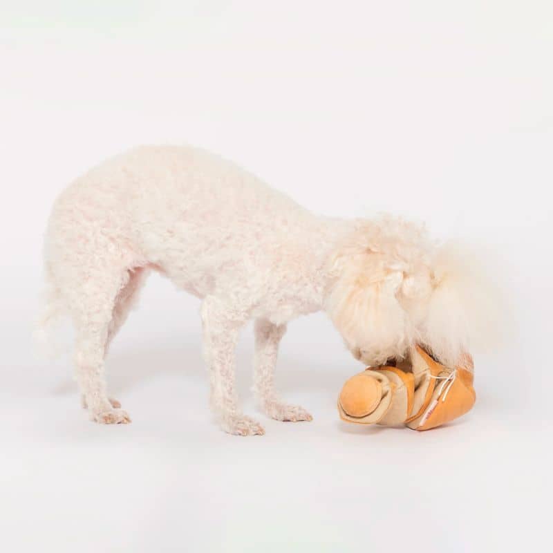 jouet d'occupation pour chien peluche de flair avec cachettes à friandises en forme d'oignon Furryfolks : bruit de papier froissé 