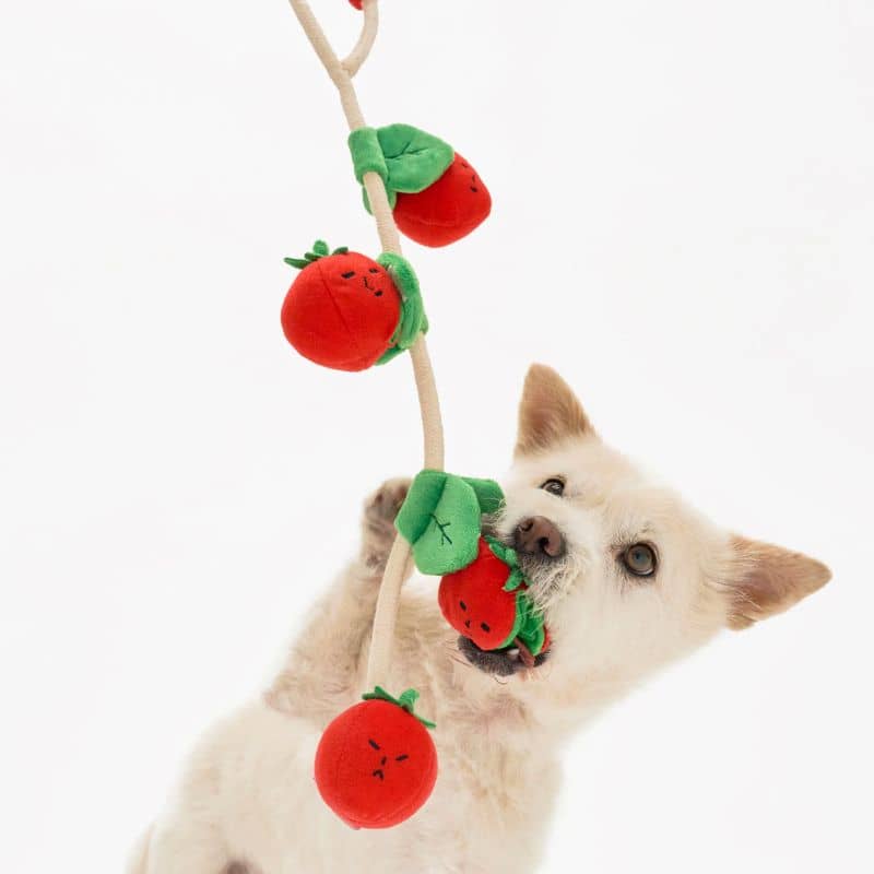 jouet d'occupation pour chien peluche de flair avec cachettes à friandises en forme de grappe de tomates cerise Furryfolks : jouet corde à tirer avec corde avec tomates amovibles