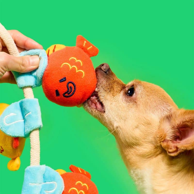 Peluche de flair de type nosework pour chien en forme de poisson rouge