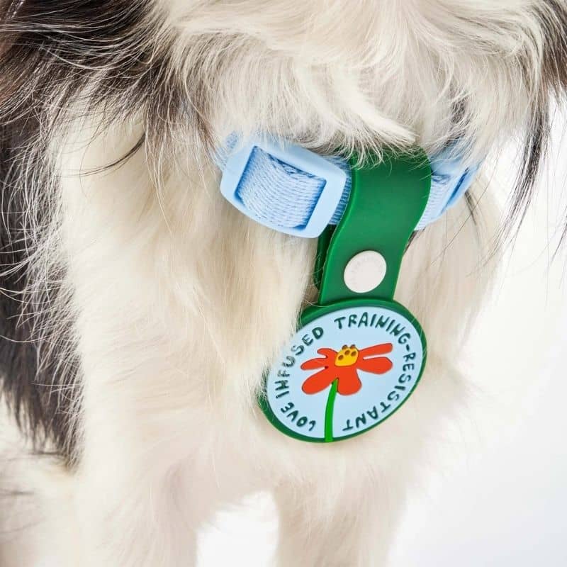 Médaille pour chien vert "love infused training-resistant" de Furry Folks