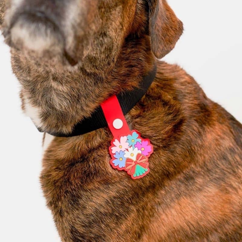 Médaille pour chien vert "bouquet" de Furry Folks