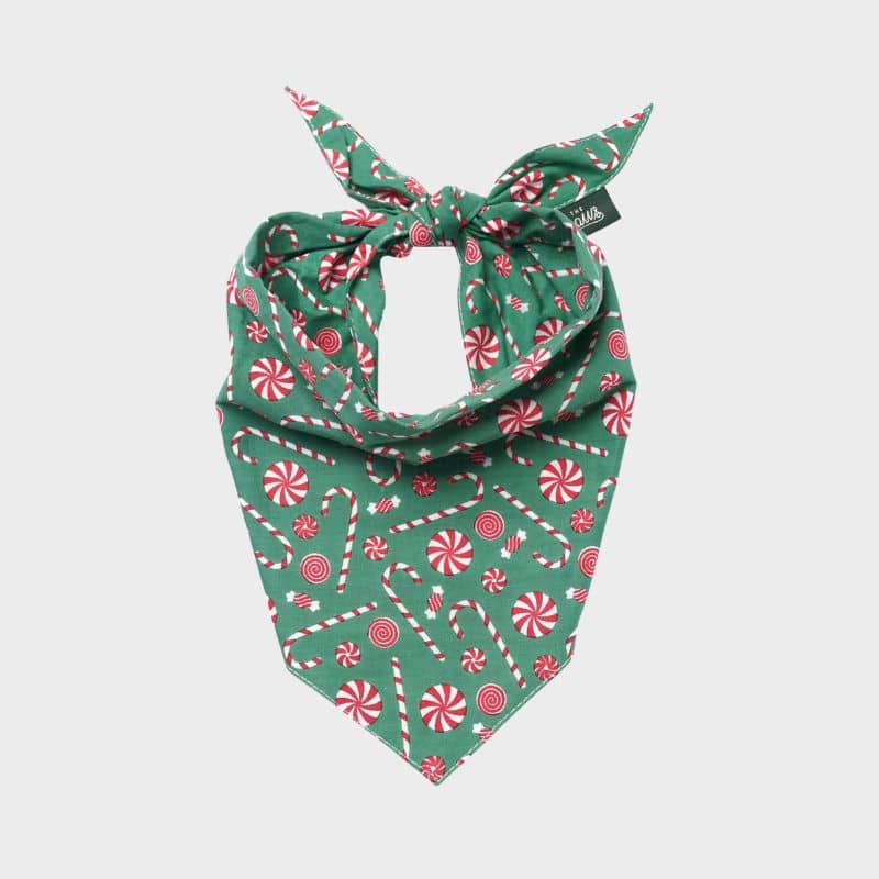Bandana de Noël pour chien de the paws motif sugar christmas