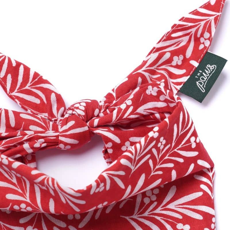 Détail bandana pour chien de Noël motif gui mistletoe "noel dog" de The Paws