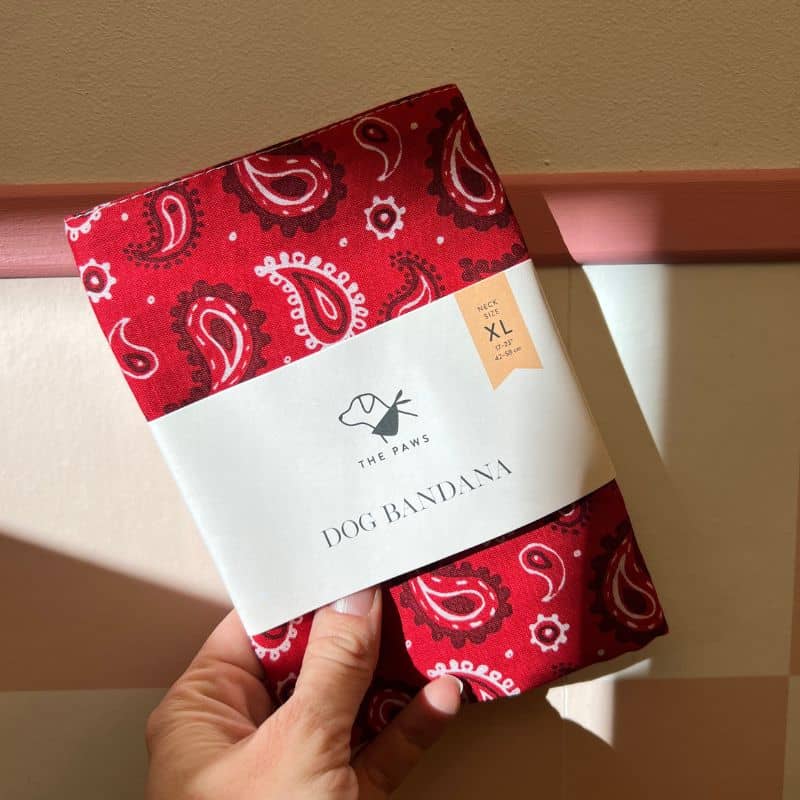 Bandana pour chien motif cachemire rouge Dallas de The Paws en coton fait à la main