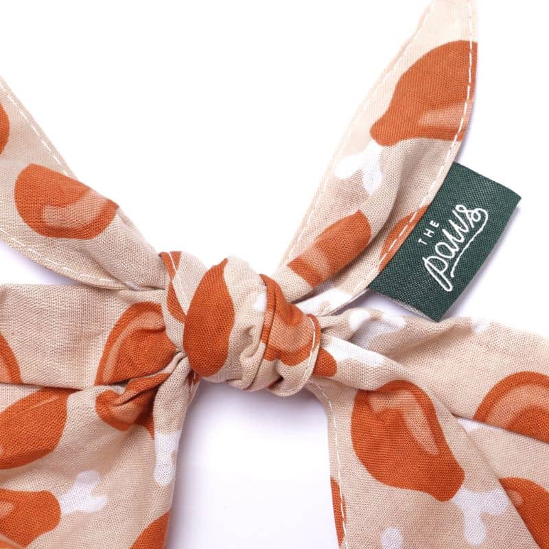 Détail du bandana pour chien motif cuisse de poulet Drumstick de the paws