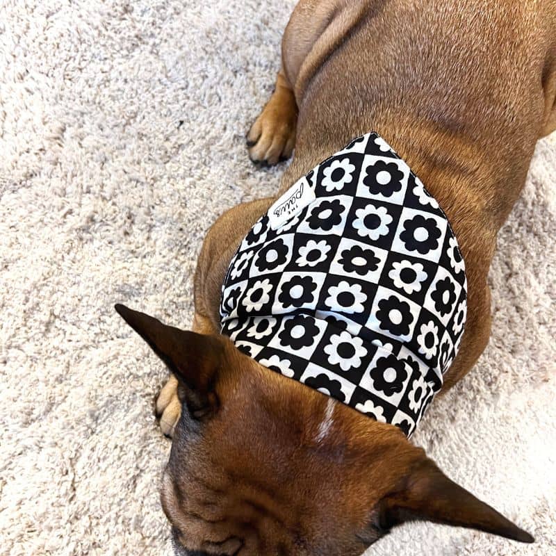 Bandana pour chien fleurs sixties noir et blanc Tux de The Paws graphique et tendance