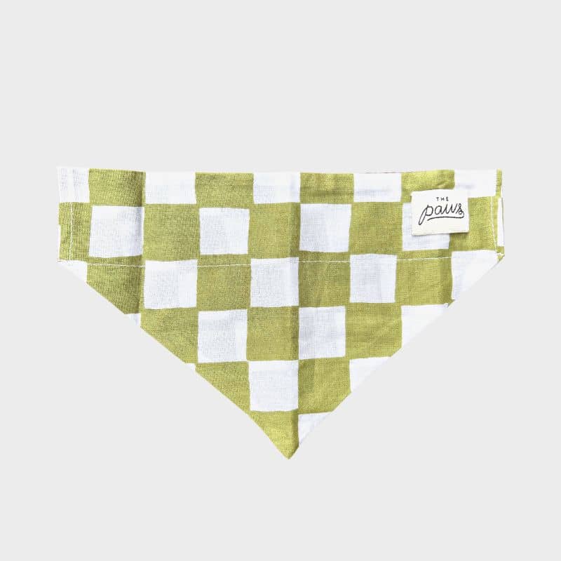 Bandana pour chien à glisser dans le collier checkmate vert