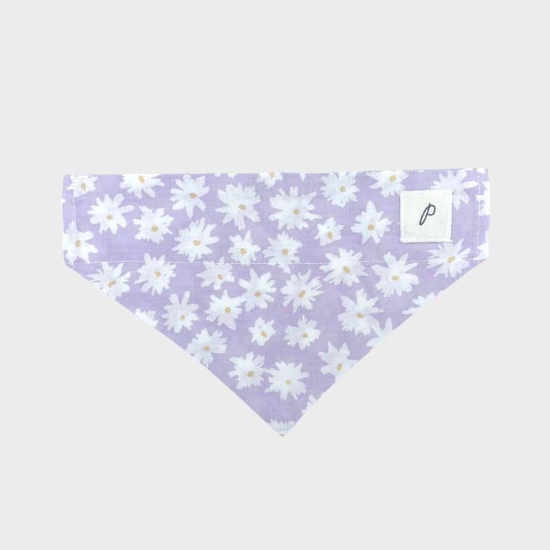 Bandana pour chien à glisser sur collier motif Belle de The Paws