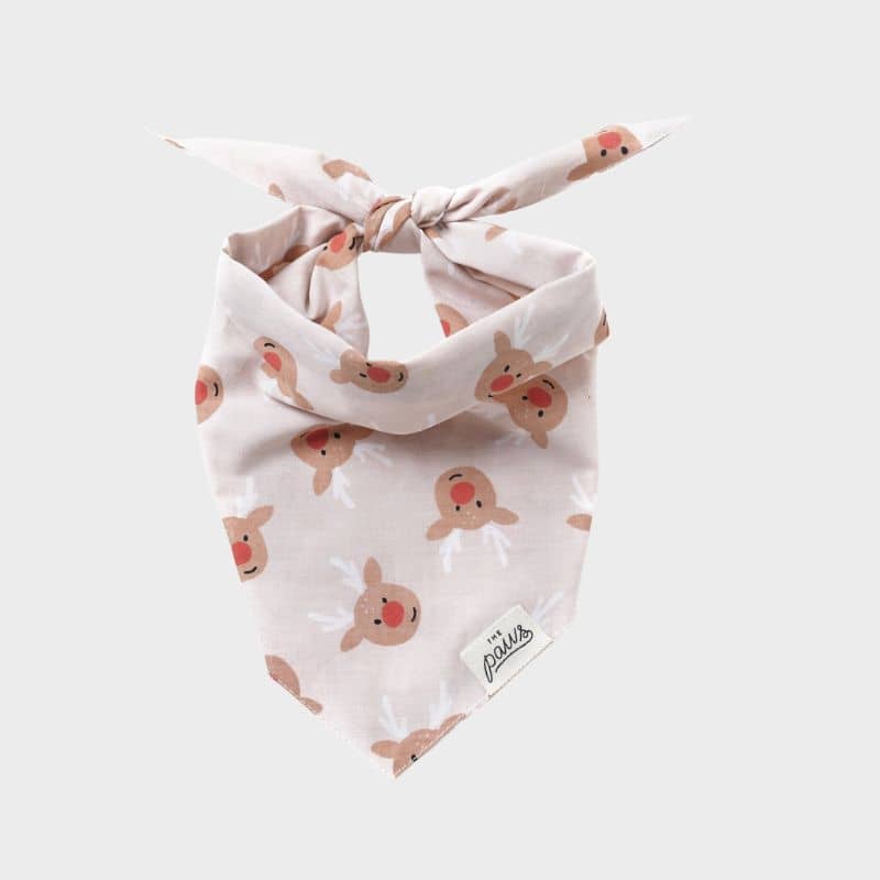 Bandana de Noël pour chien motif renne de Noël de The Paws