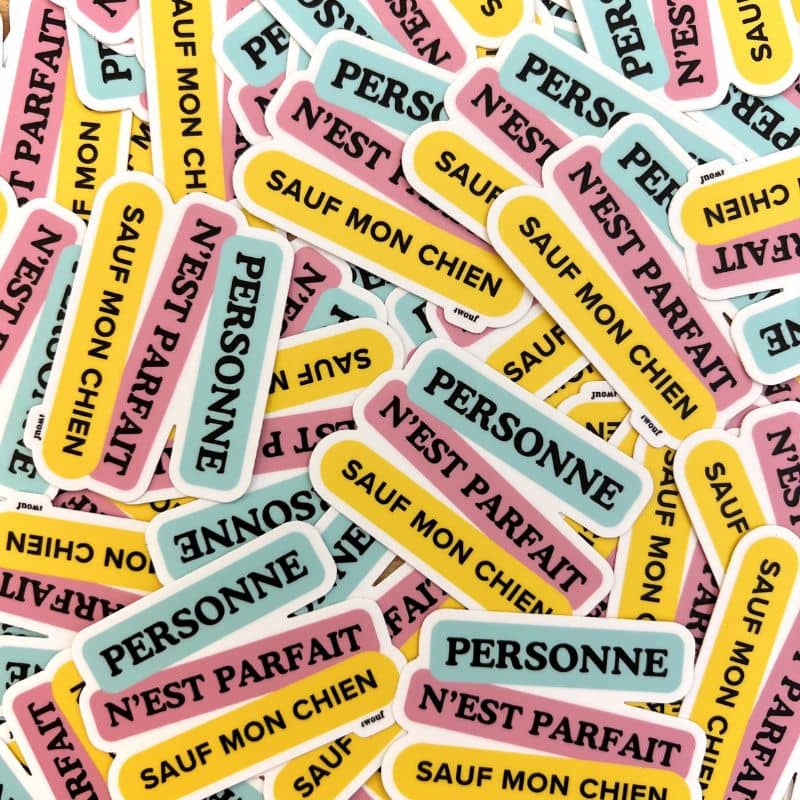 Sticker autocollant pour personnaliser cahier, valise, ordinateur, téléphone "personne n'est parfait sauf mon chien"