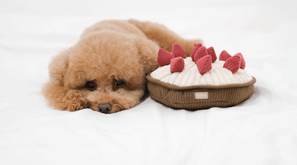 THE WOUF BLOG - NOËL 2023 : 10 IDÉES CADEAUX POUR CHIEN GOURMAND