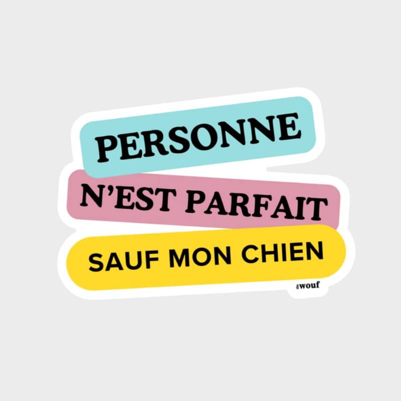 Sticker "personne n'est parfait sauf mon chien" de the wouf