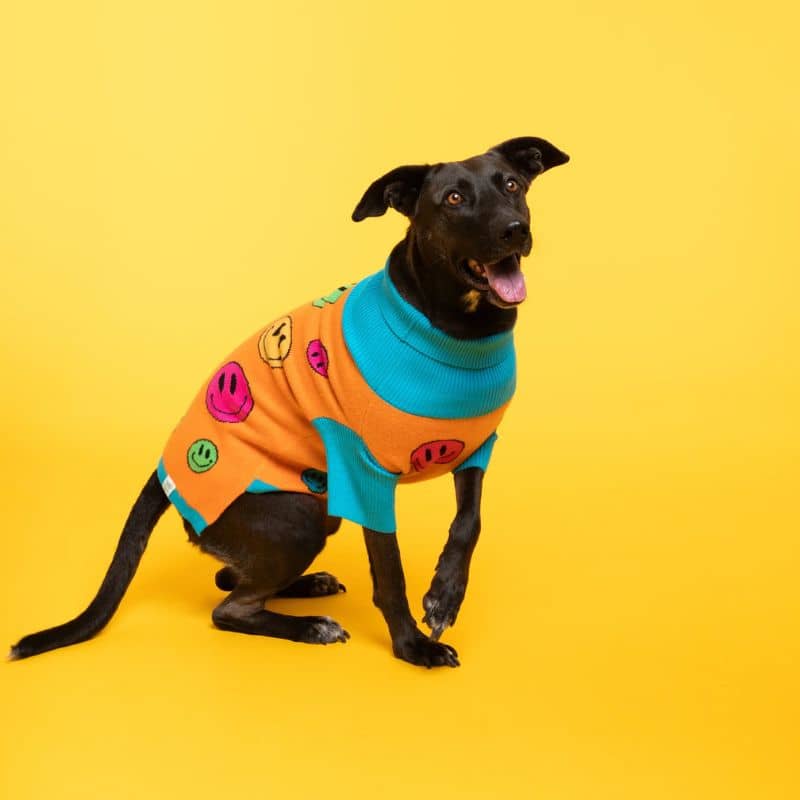Chien noir avec un pull confortable pour chien de grande taille motif smiley tendance