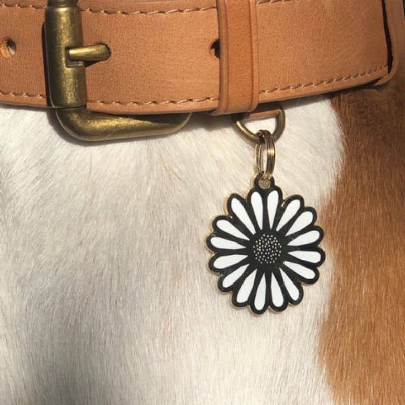 Détail de la médaille pour chien pet tag ID de Two Tails Company - motif fleurs daisy