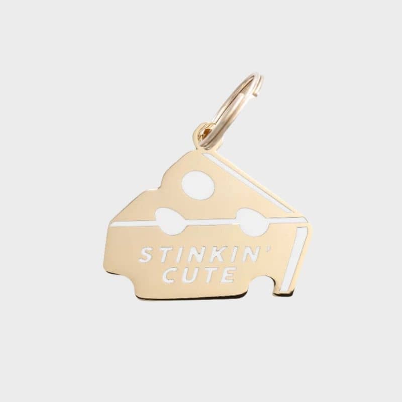 Médaille pour chien en forme de fromage Stinkin' cute de la marque Two Tails Pet Company
