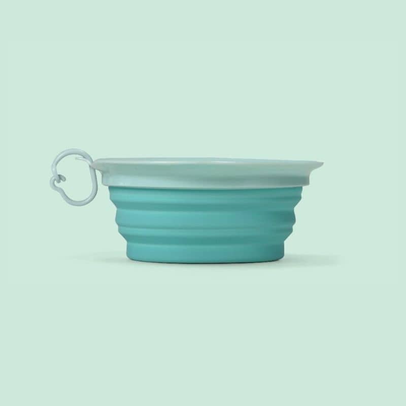 gamelle de voyage pliable pour chien compacte pour les voyage - bol d'eau en forme de feuille Leaf bowl United Pets vert aquamarine