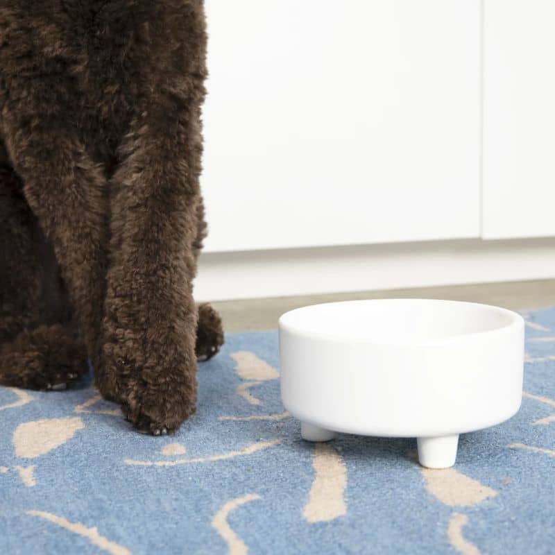 gamelle pour chien en céramique blanche en hauteur de la marque Waggo est conçue pour favoriser la digestion lors des repas de votre toutou