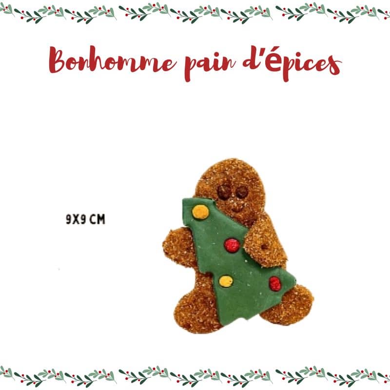 biscuit pour chien aux ingrédients naturels et design Noel Waniyanpi en forme de bonhomme en pain d'épices avec caroube, spiruline, betterave et curcuma