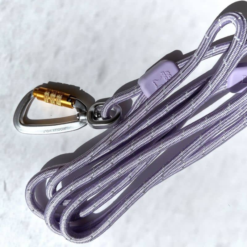 Laisse pour chien légère et réfléchissante violet lavender de Woolly Wolf avec mousqueton sécurité