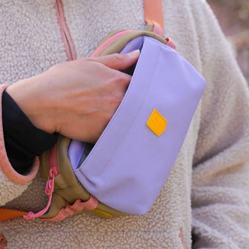 Sacoche banane idéale pour promener son chien - tendance
