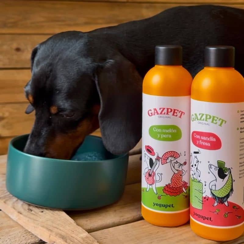 Gazpet Yogupet melon poire - gaspacho pour chien et chat au yaourt pasteurisé sans lactose. Boisson pour rafraichir et hydrater