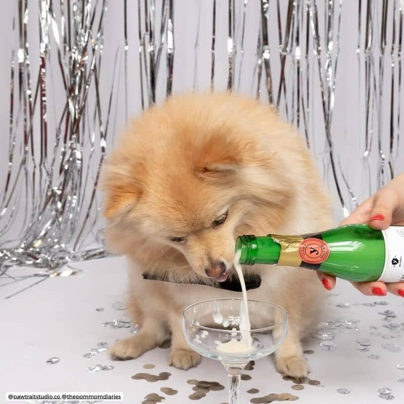 Kéfir de chèvre pasteurisé Cheers&Pet Yogupet pour chien et chat : probiotoque pour soutenir la flore intestinale