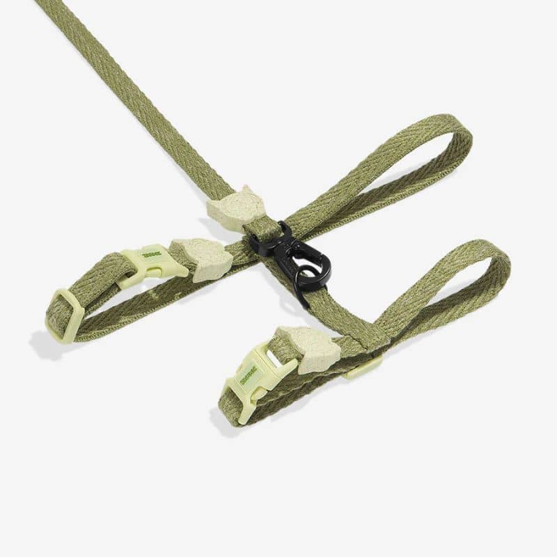 harnais pour chat facile à enfiler + laisse Zeedog vert sauge Moss