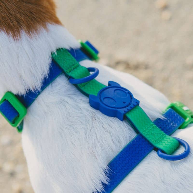 Harnais pour chien waterproof imperméable bicolore en bleu et vert
