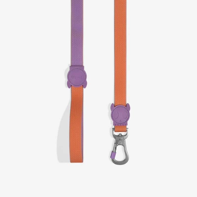 Laisse pour chien imperméable waterproof bicolore violet mauve et orange
