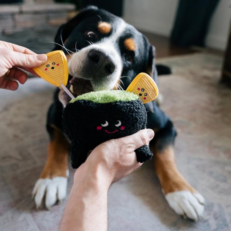 Jouet peluche en forme de pot de guacamole avec des doritos de chez Zippypaws, un jeu intéractif pour jouer avec son chien