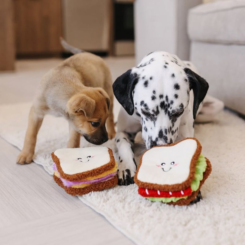 Jeu peluche en forme de sandwich pour chien et chiot pour faire travailler le flair et faire du nosework