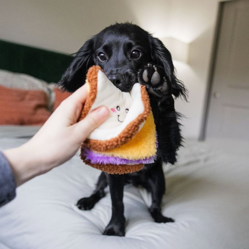 Jeu idéal pour son chien en forme de sandwich de chez Zippypaws pour jouet avec son animal et faire travailler son odorat