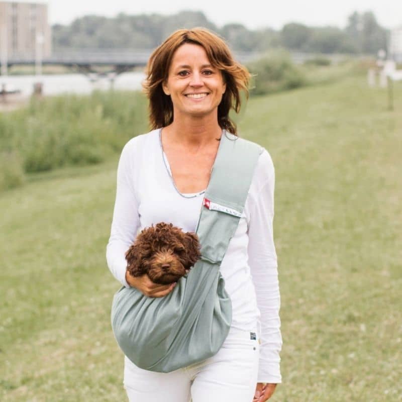 SAC DE TRANSPORT BANDOULIÈRE POUR CHIEN GRIS – THE WOUF