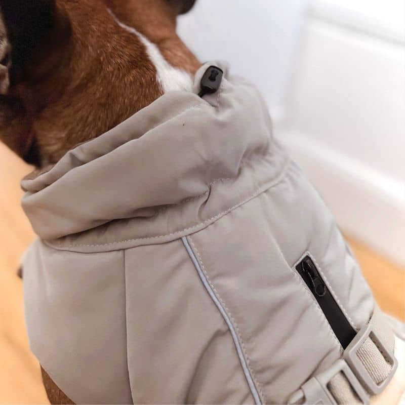 Manteau pour chien en taupe avec ouverture pour le harnais