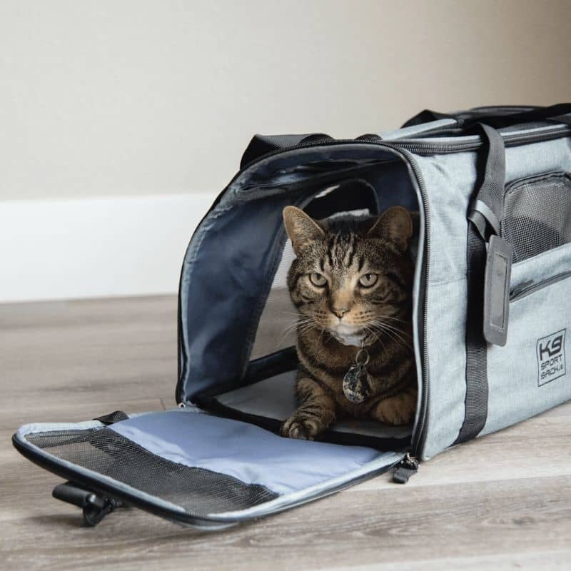 Pet Carrier Dimension Sac Transport Chat Avion Sac De Transport