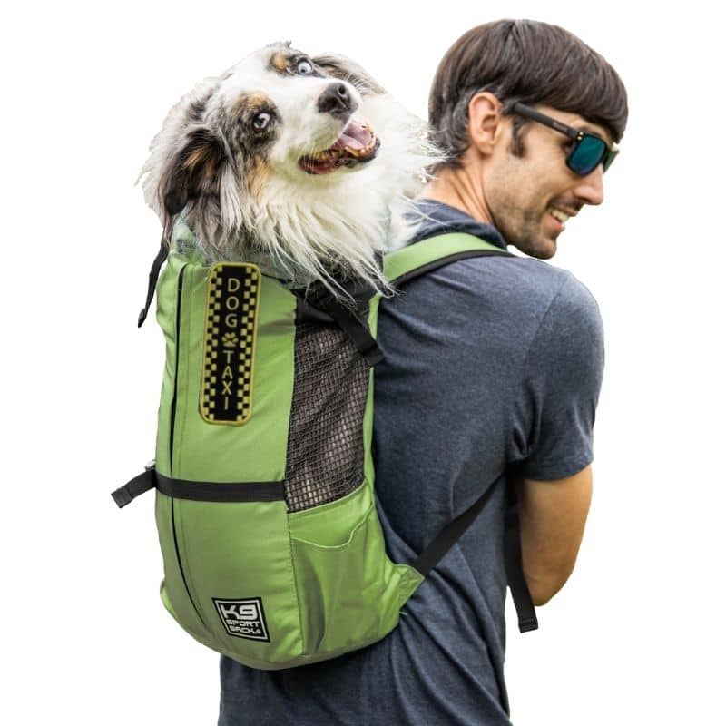 Sac de voyage pour chiens avec accessoires : gamelles transport