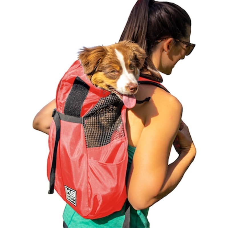 Sac A Dos Pour Chien Moto Sac Titan Pour Chien