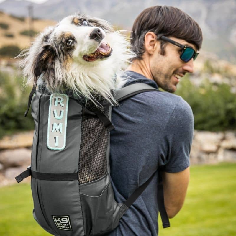 sac à dos de randonnée gris transporter les chiens