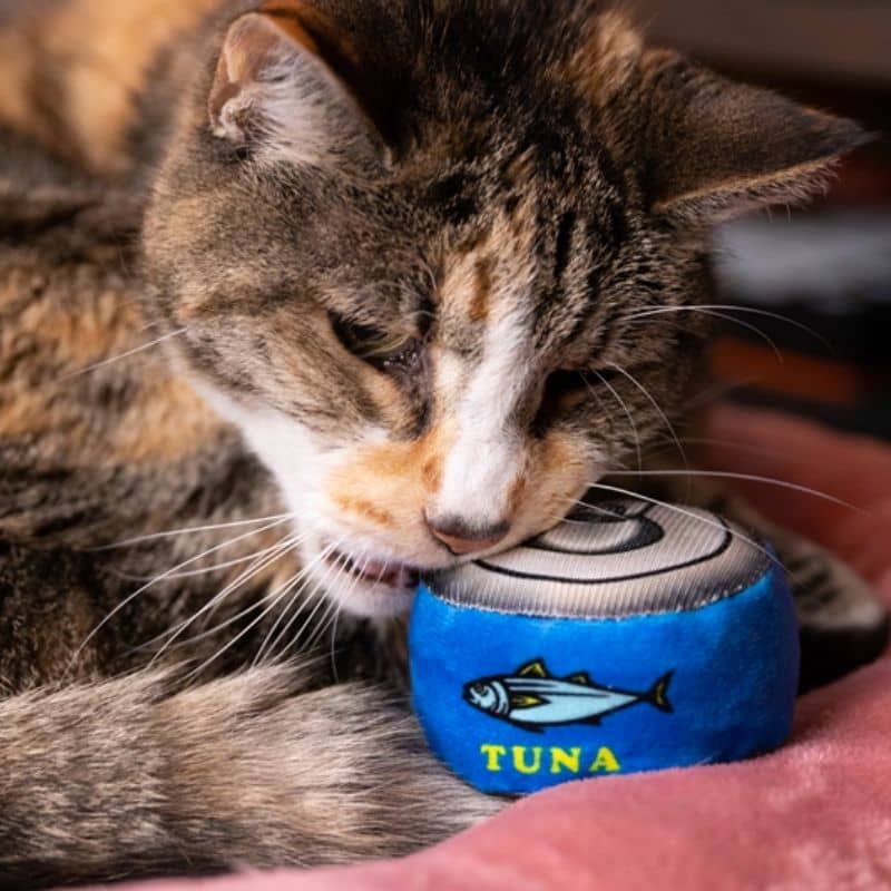 jouet pour chat Can-o Tuna 🐟 Kittybelles en forme de boîte de conserve au thon fourré à l'herbe à chat