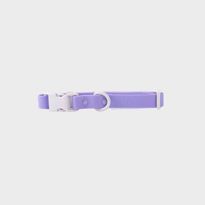 Collier pour chien waterproof bicolore lilas et gris Approved by Fritz