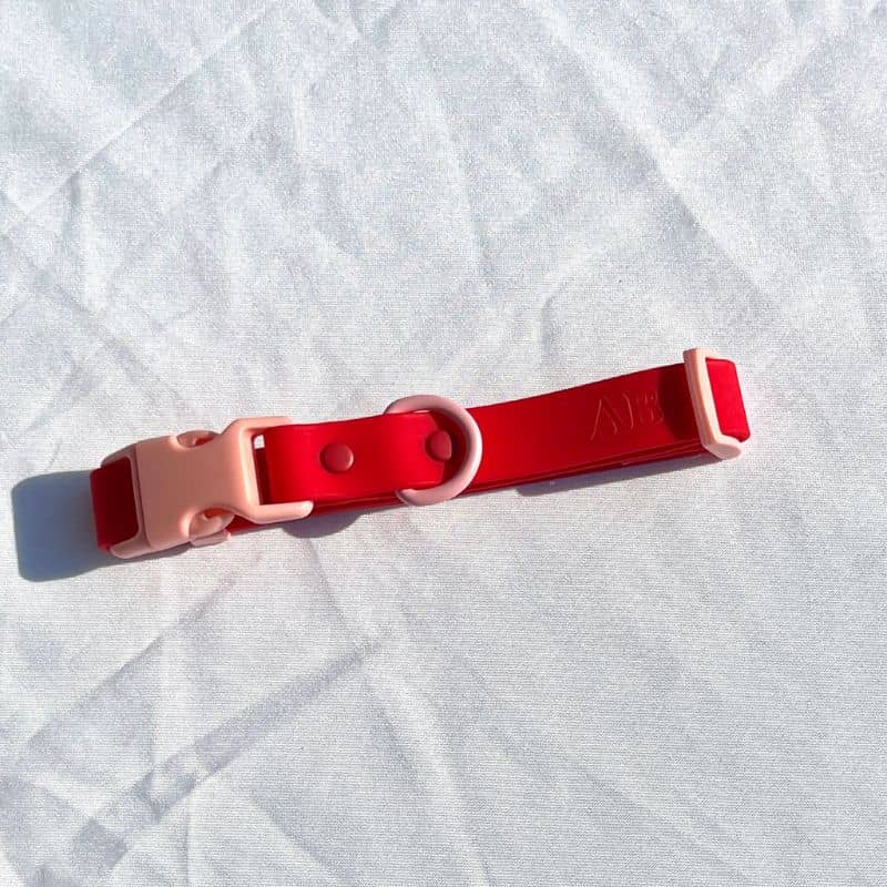 Collier waterproof pour chien rouge / rose