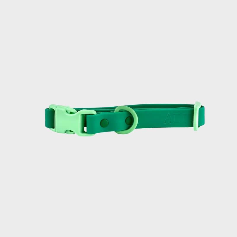 Collier pour chien waterproof bicolore vert