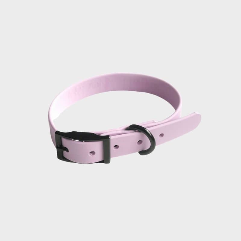 COLLIER POUR CHIEN GUMMY WATERPROOF - LILA